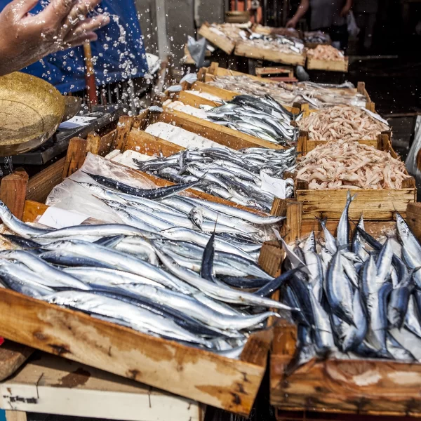 shutterstock_735130060